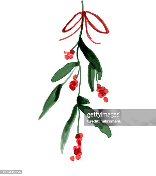 christmas illustration of  ivy and mistletoe - christmas card - christmas ivy stock pictures, royalty-free photos & images