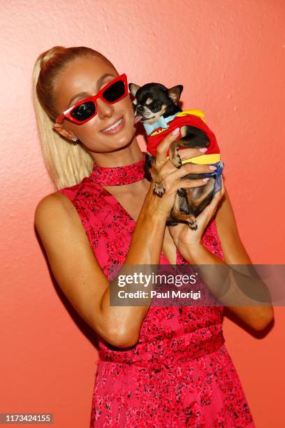 Paris Hilton and her dog attend the Alice + Olivia by Stacey Bendet arrivals during New York Fashion Week: The Shows on September 09, 2019 in New...