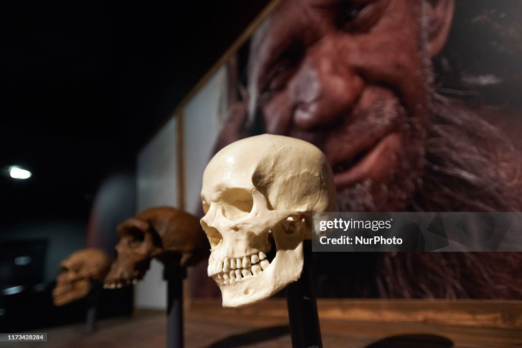 'Extinction: An End To The World ?' - Exhibition In Toulouse
