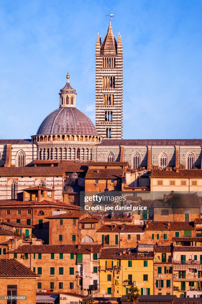 Duomo di Siena, Siena, Tuscany, Italy