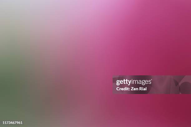 close up and defocused image of pink hibiscus petals and leaf - two tone stock-fotos und bilder