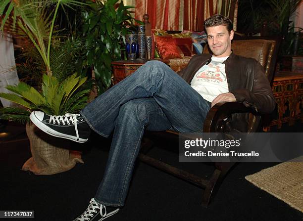David Boreanaz during The Flavia Fusion Retreat by Backstage Creations at the 2005 Billboard Music Awards - Day 2 at MGM in Las Vegas, NV, United...