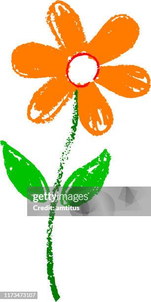 crayon flower - jasmine stock illustrations
