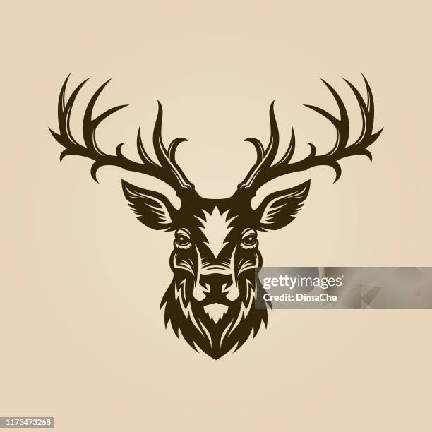 illustrations, cliparts, dessins animés et icônes de tête de cerf découpée silhouette. icône de wapiti ou de cerf à cornes. - ramure
