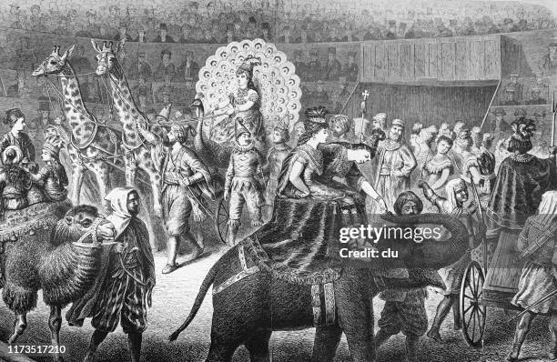 relocation of the queen in the circus - horse cart stock illustrations