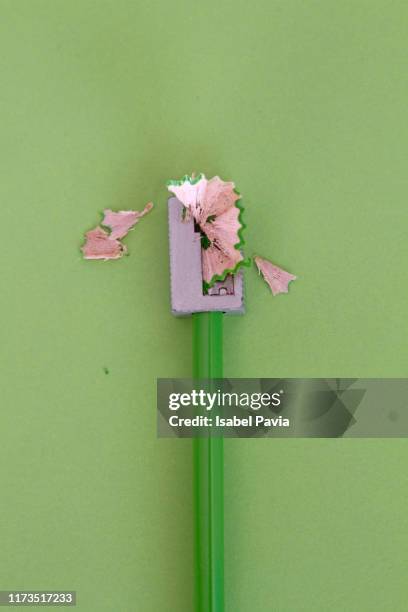 green pencil with sharpening shavings on green background - sharpening stock pictures, royalty-free photos & images