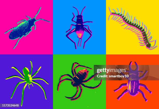 halloween insekten-ikonen - centipede stock-grafiken, -clipart, -cartoons und -symbole