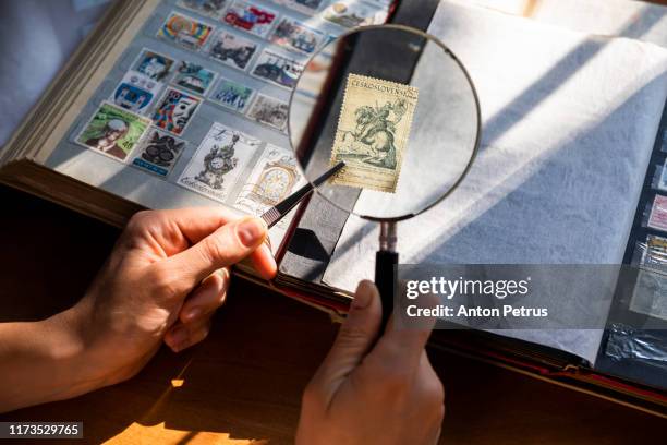 hands of a philatelist with a magnifier on a background of a stamp album - stamp collection stock pictures, royalty-free photos & images