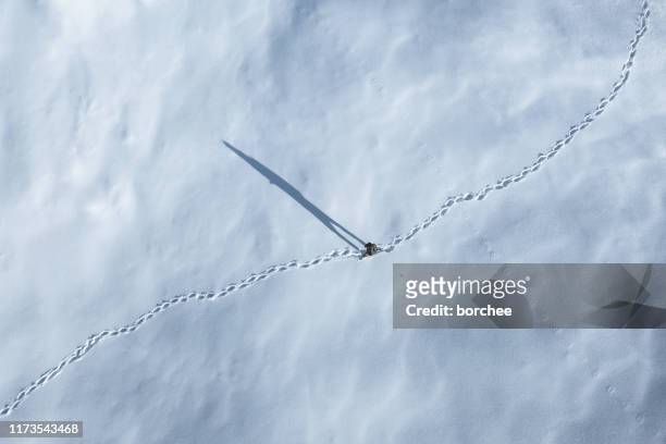 winterwanderung - aerial view stock-fotos und bilder