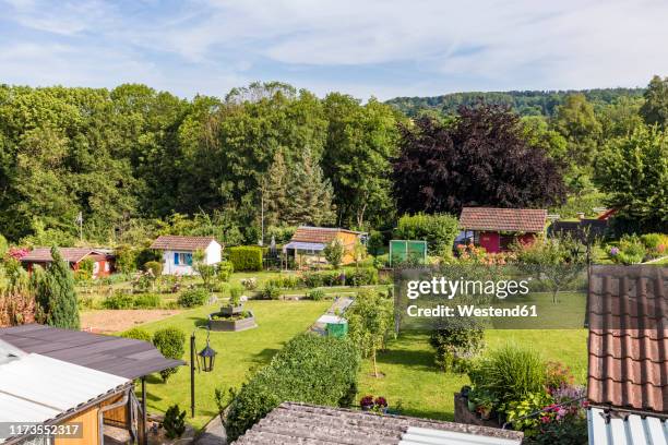 germany, baden-wurttemberg, esslingen, high angle view of community garden - community garden stock-fotos und bilder