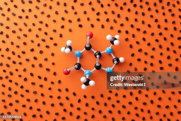 directly above view of caffeine chemical formula with roasted coffee beans over orange background - koffeinmolekül stock-fotos und bilder