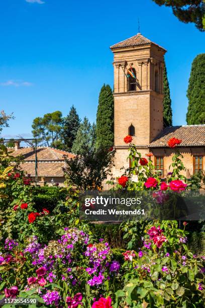 fresh flowers blooming at historic alhambra palace against blue sky on sunny day - alhambra stock-fotos und bilder