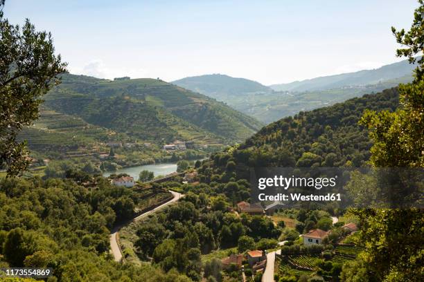 distant view of vineyards on hill by duoro river against sky - duoro valley stock pictures, royalty-free photos & images