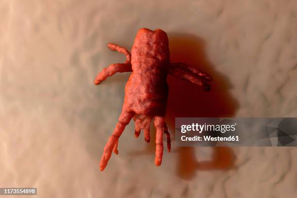3d rendered illustration visualization of orange mite on skin - macro human body stock illustrations