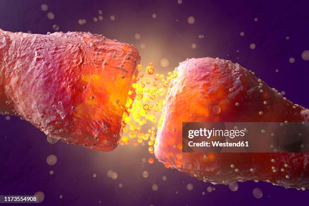 3d rendered illustration, visualization of neurons firing neurotransmitters in the synaptic gap - indoors stock illustrations