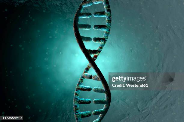 ilustrações de stock, clip art, desenhos animados e ícones de 3d rendered illustration, visualization of a dna double helix which carry the genes of a biological organism - hélice