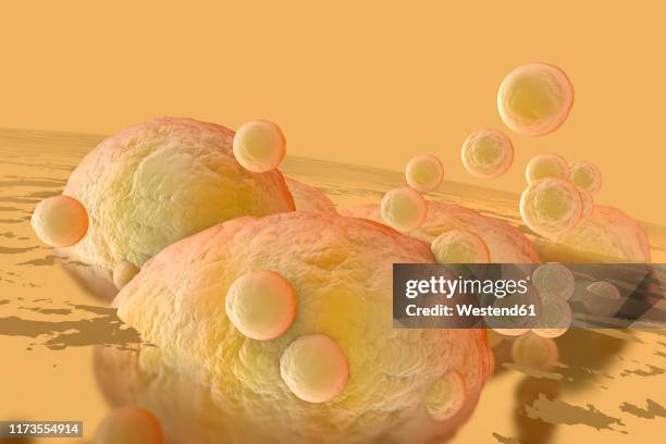 3d rendered illustration, visualization of fat cells clogging together in the human body - adipose cell点のイラスト素材／クリップアート素材／マンガ素材／アイコン素材