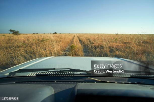 car driving through savannah landscape, makgadikgadi pans, botswana - punto di vista del guidatore foto e immagini stock
