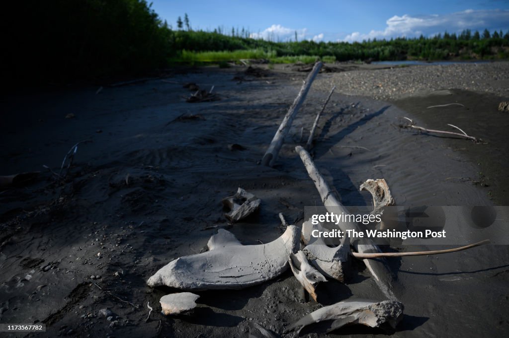 Siberia's permafrost is melting with lasting consequences.