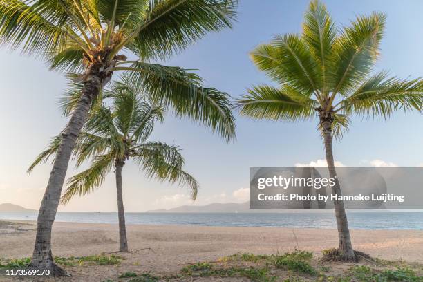 idyllic beach in townsville, australia - townsville stock-fotos und bilder