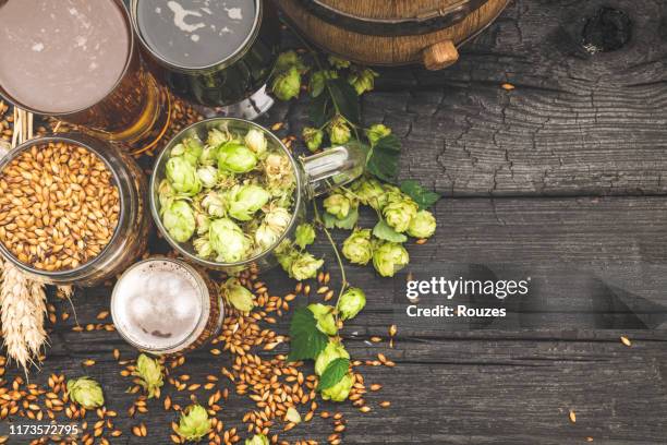 barrel and glass beer with brewing ingredients. - ale stock pictures, royalty-free photos & images