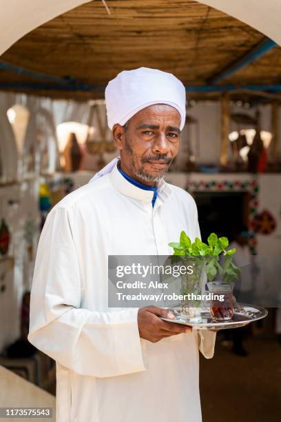 an egyptian man holds a tray with a glass of mint tea and some fresh mint leaves, aswan, egypt, north africa, africa - egypt vase stock pictures, royalty-free photos & images