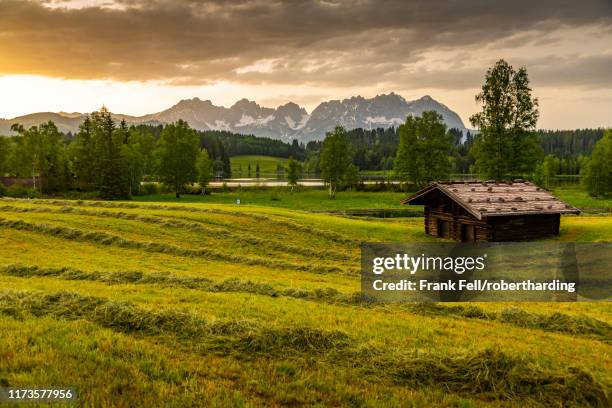 view of the wilder kaiser mountain range from schwarzsee near kitzbuhel, tyrol, austria, europe - kitzbühel stock-fotos und bilder