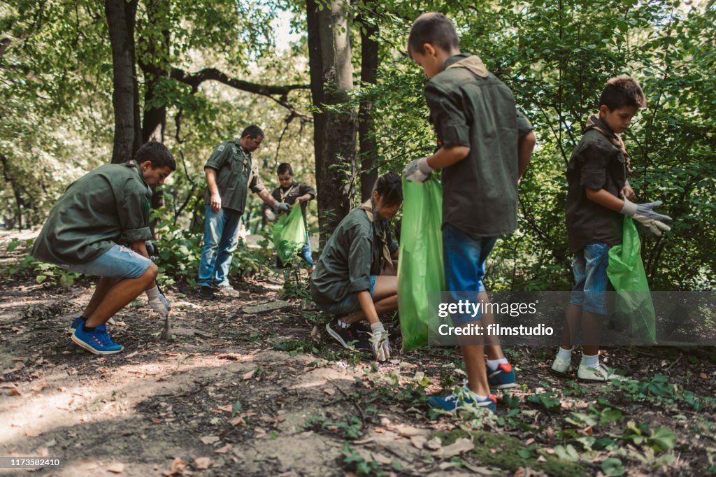Scouts Cleaning Local Forest