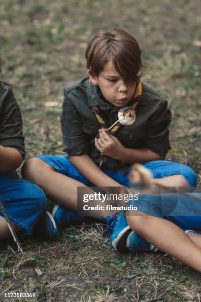boy scout roast marshmallow candies on campfire in forest - boy scout stock pictures, royalty-free photos & images
