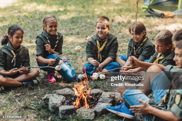 groep scouts geroosterde marshmallow snoepjes op kampvuur in het bos - boy scout camp stockfoto's en -beelden