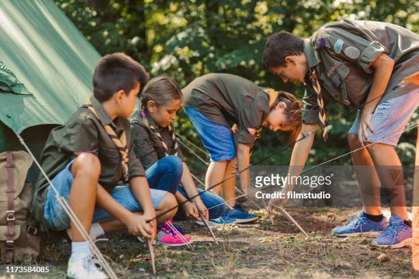 scouts building tent - scouts stockfoto's en -beelden