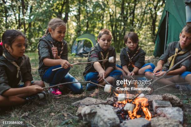 group of scouts roast marshmallow candies on campfire in forest - camp fire stock pictures, royalty-free photos & images