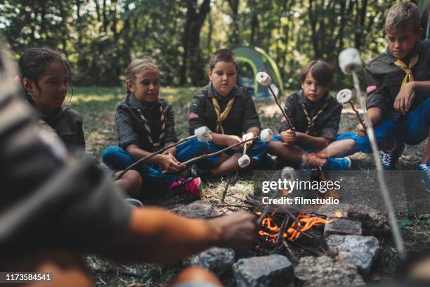 groep scouts geroosterde marshmallow snoepjes op kampvuur in het bos - boy scout camping stockfoto's en -beelden