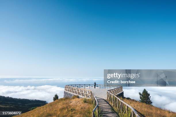 woman on madeira island enjoying the view - ilhas da madeira imagens e fotografias de stock