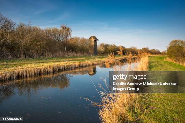 the tower hide on the banks of burwell lode waterway on wicken fen nature reserve in warm evening sun, cambridgeshire; england; uk - fen stock pictures, royalty-free photos & images