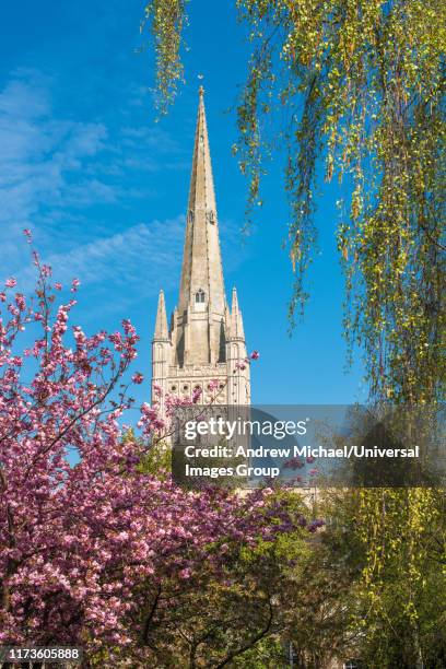 norwich cathedral in norwich city center, norfolk, east anglia, england, uk. - norwich cathedral stock pictures, royalty-free photos & images