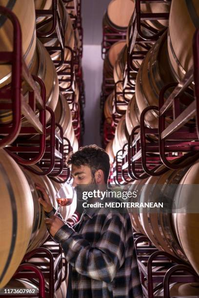 young winemaker tasting wine at cellar - examining wine stock pictures, royalty-free photos & images