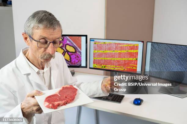 44 Lab Grown Beef Stock Photos, High-Res Pictures, and Images - Getty ...