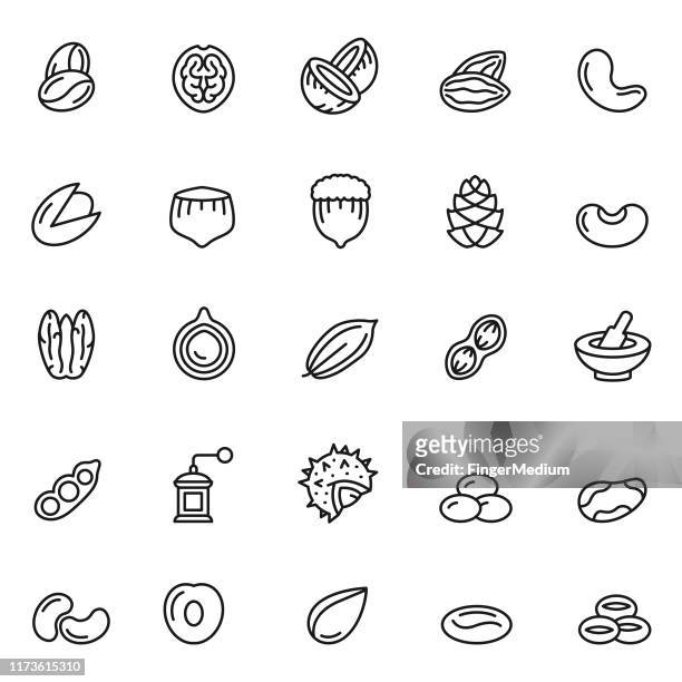 nuts icon set - bean stock illustrations
