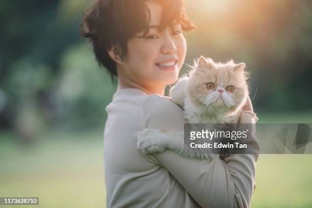 an asian chinese female teenager playing and bonding time with her furkid pet cat at public park in the morning - beautiful arabian girls stock pictures, royalty-free photos & images