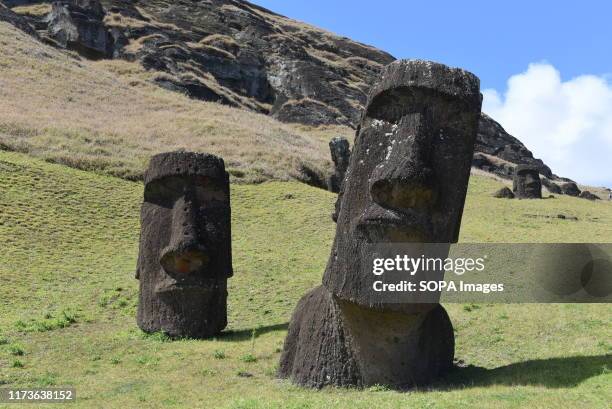 Moais seen on the outer slopes of Rano Raraku volcanic crater. Moais are monolithic human figures which represented the ancestors. They were carved...