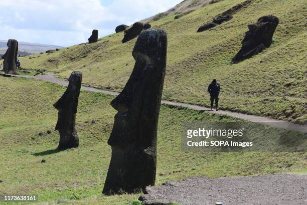 Moais seen on the outer slopes of Rano Raraku volcanic crater. Moais are monolithic human figures which represented the ancestors. They were carved...