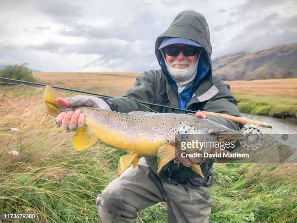 fisherman holding brown trout in patagonia - brown trout stock pictures, royalty-free photos & images
