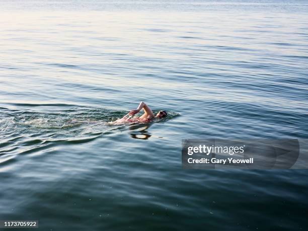 female swimmer in the sea - zwemmen stockfoto's en -beelden