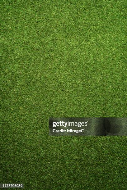 green turf texture - 草皮 個照片及圖片檔