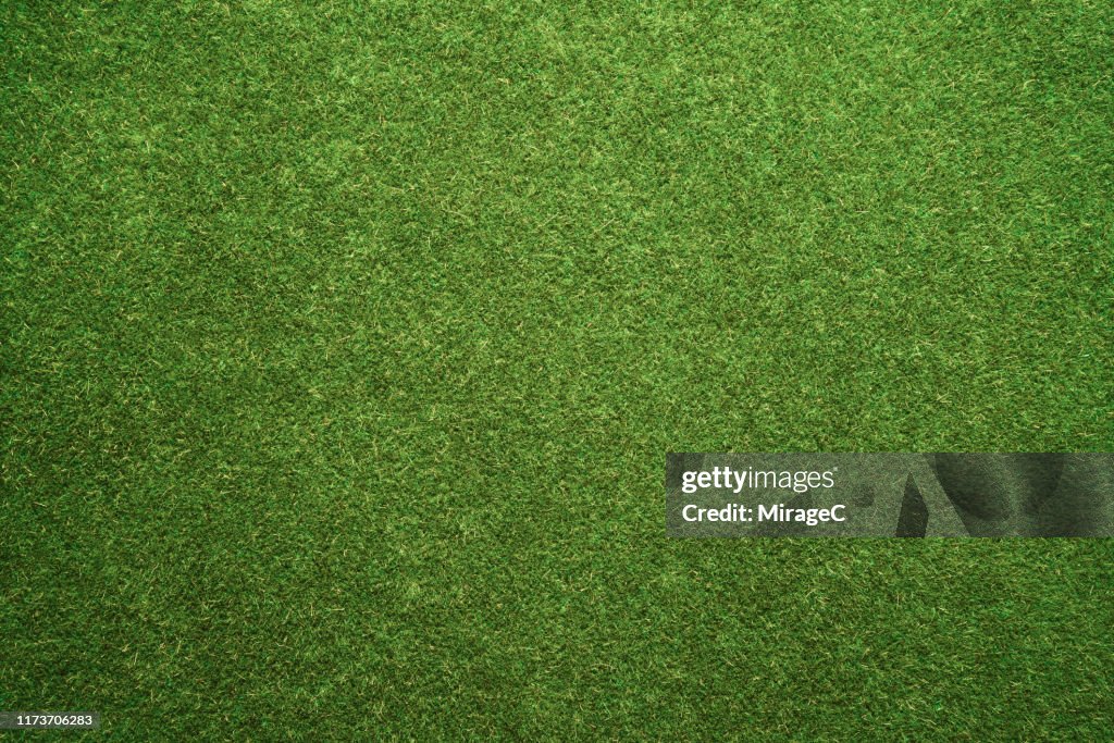 Green Turf Texture