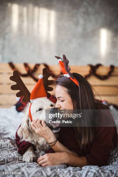 i love spending christmas with my four-legged friend - christmas dogs stock pictures, royalty-free photos & images