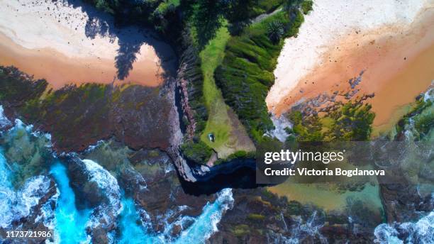 top down view of austinmer beach australia - biodiversity stock pictures, royalty-free photos & images