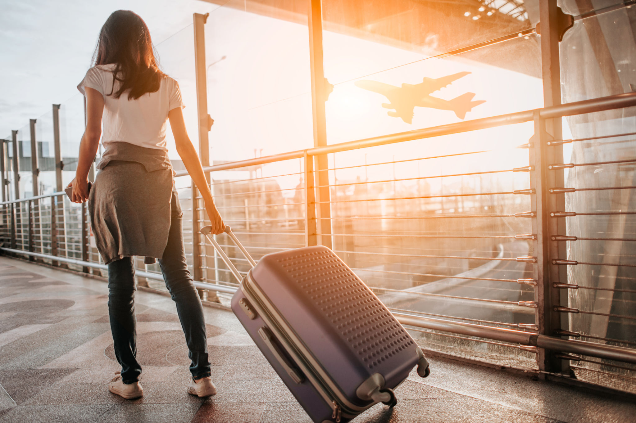 luggage transfer