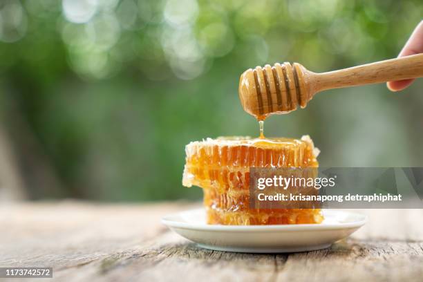 honey, honeycomb, honey bee. - wax fruit stock pictures, royalty-free photos & images